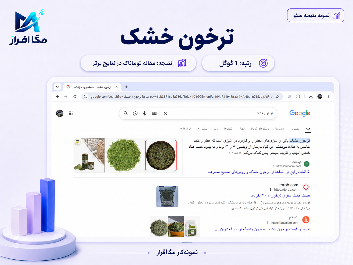 مستند نتیجه توماناک شماره 31